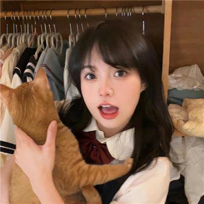 车队