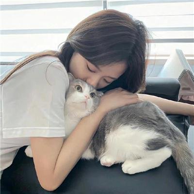 回到藏身处